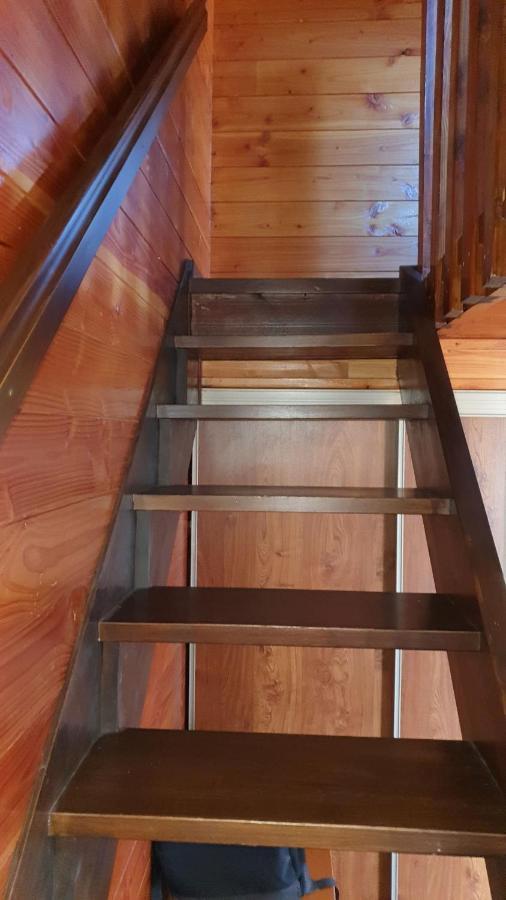 Chalet Individuel Les Sorbiers - 80M2 - Jardin - Barbecue - Wifi - Netflix - Ski & Randonnee - Pyrenees Catalanes Francaises - Eyne Dış mekan fotoğraf