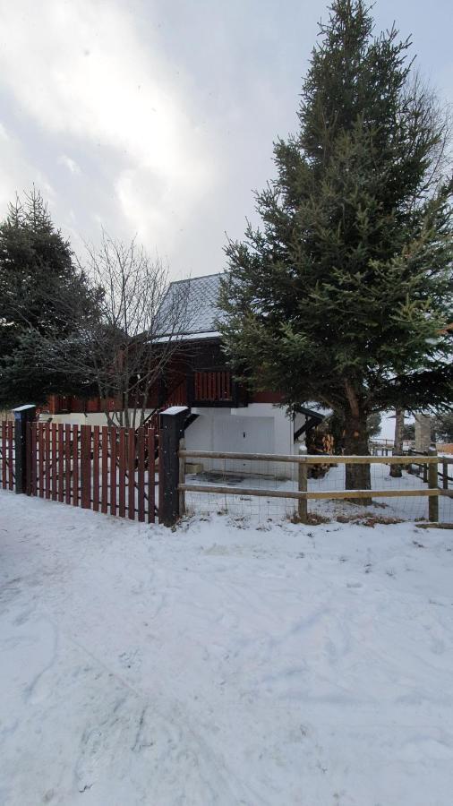 Chalet Individuel Les Sorbiers - 80M2 - Jardin - Barbecue - Wifi - Netflix - Ski & Randonnee - Pyrenees Catalanes Francaises - Eyne Dış mekan fotoğraf