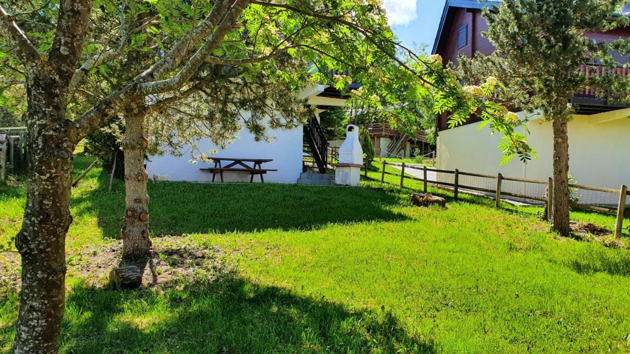 Chalet Individuel Les Sorbiers - 80M2 - Jardin - Barbecue - Wifi - Netflix - Ski & Randonnee - Pyrenees Catalanes Francaises - Eyne Dış mekan fotoğraf